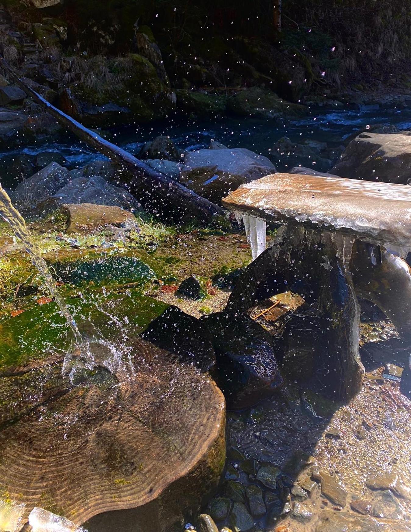 Appartamento Хочу В Карпати Skole Esterno foto